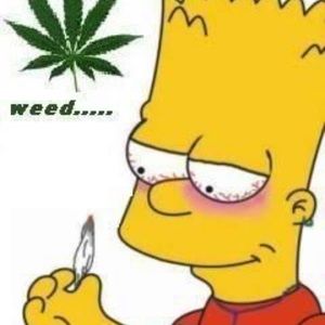 Meet your Posher, Jadyn